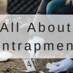 All About Entrapment All About Entrapment